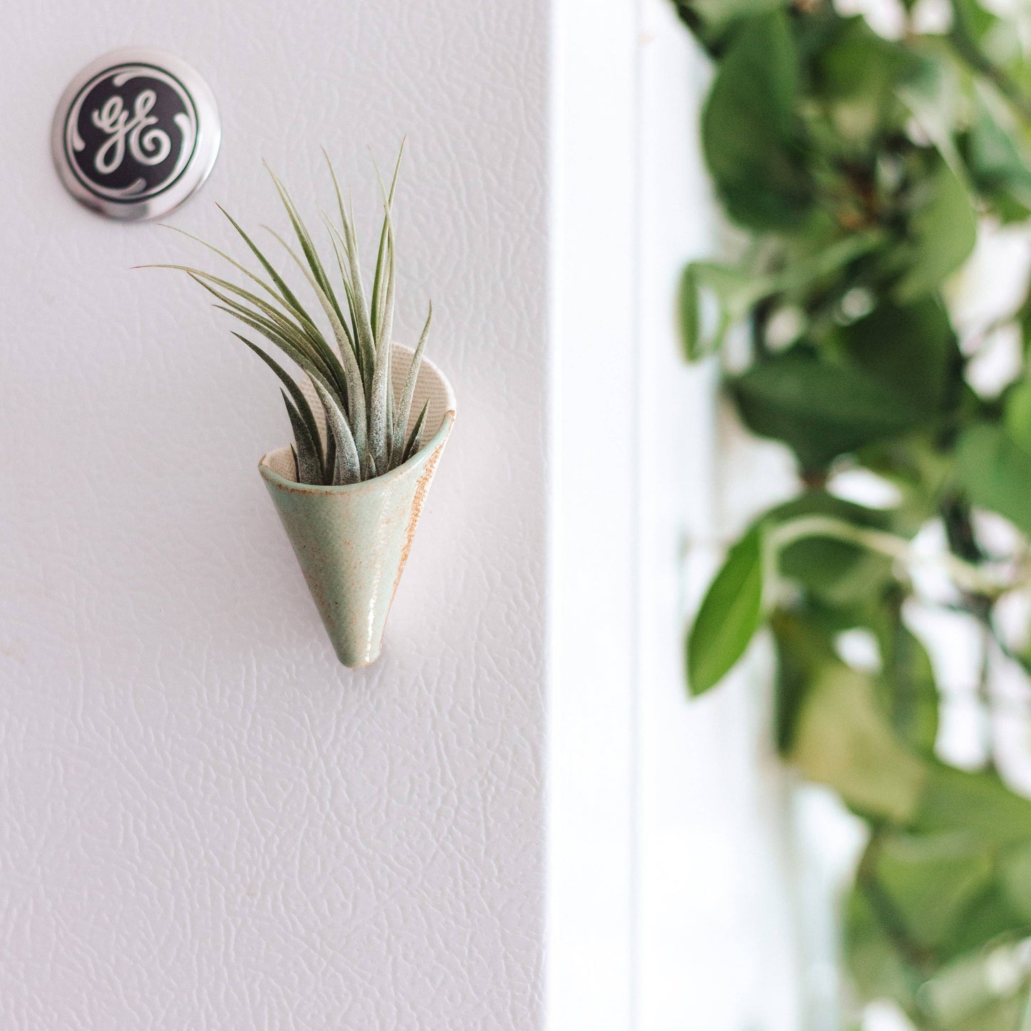 Tiny Ceramic Magnet Planter: Blush / With Plant