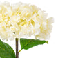 Hydrangea Stem