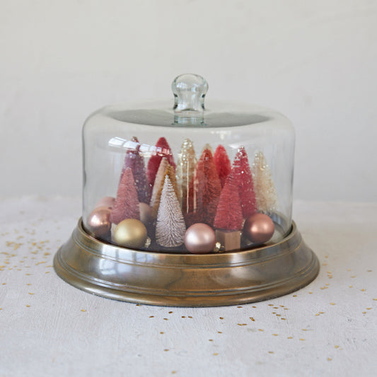 Glass Cloche w/ Base