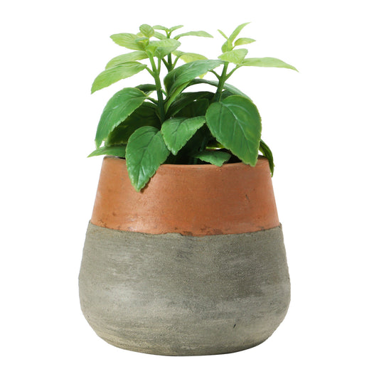 Two Tone Terracotta and Cement Planter