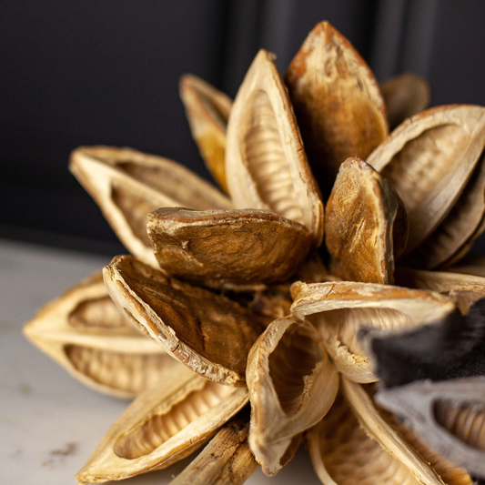 Bleached Star Pod