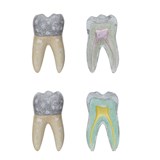 Vintage Reproduction Cement Teeth