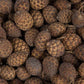 Dried Cane Fruit