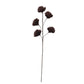 Burgundy Feather Flower Stem