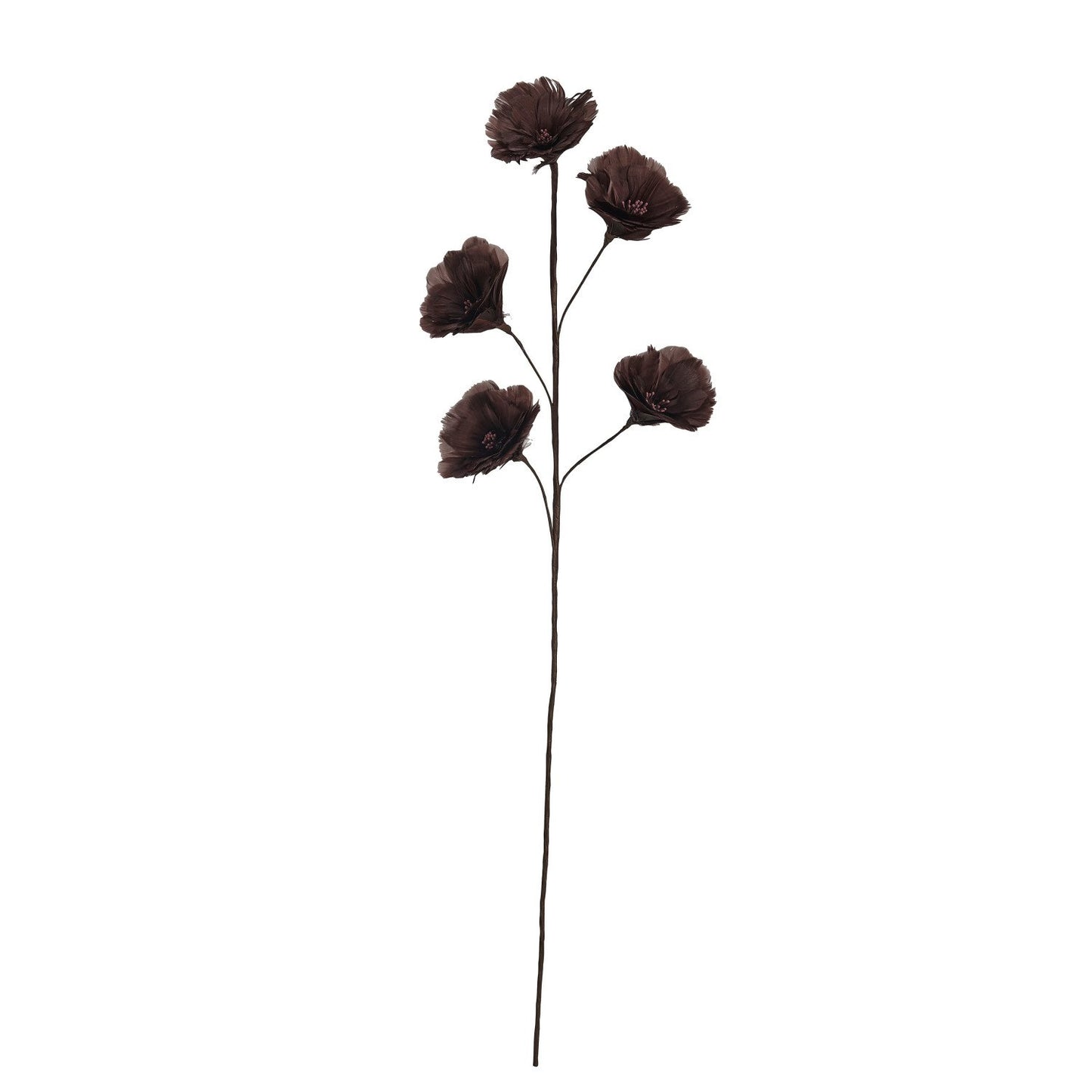 Burgundy Feather Flower Stem