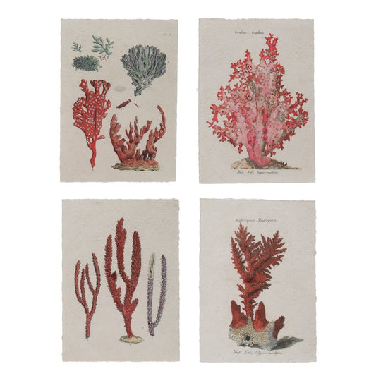 Coral Print