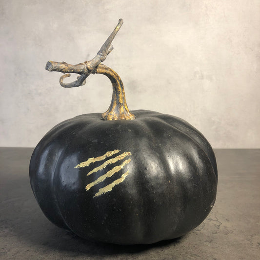 Black Scratch Gourd