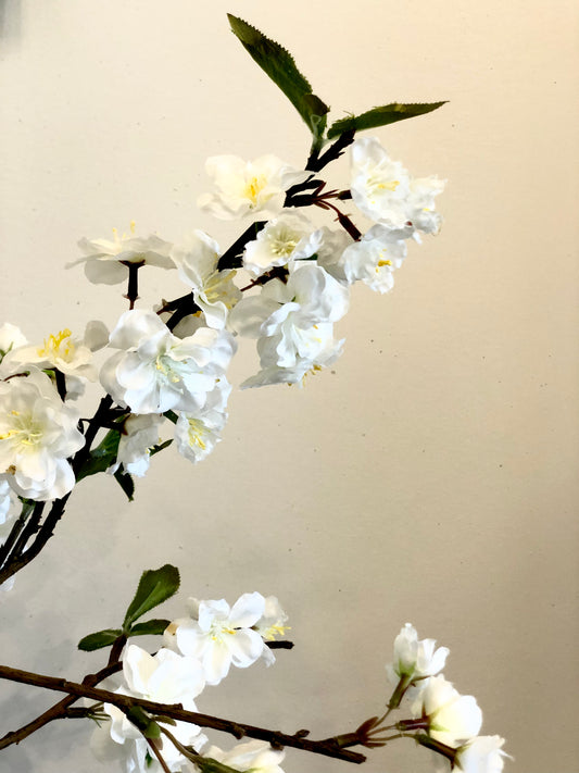 White Cherry Blossom Spray
