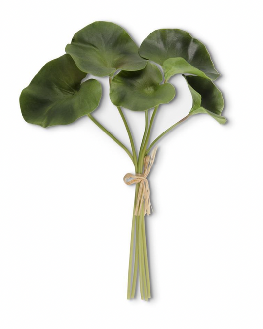 Lotus Leaf Bundle (5 Stems)