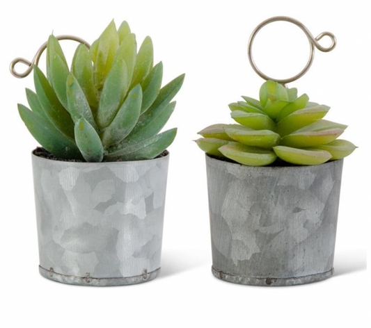 Succulent In Tin Pot Place Card Holders