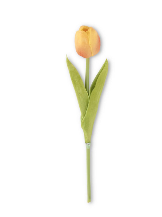 Yellow Tulip Stem