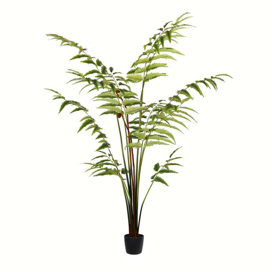 5' Potted Leather Fern