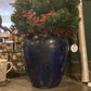 Blue Planter