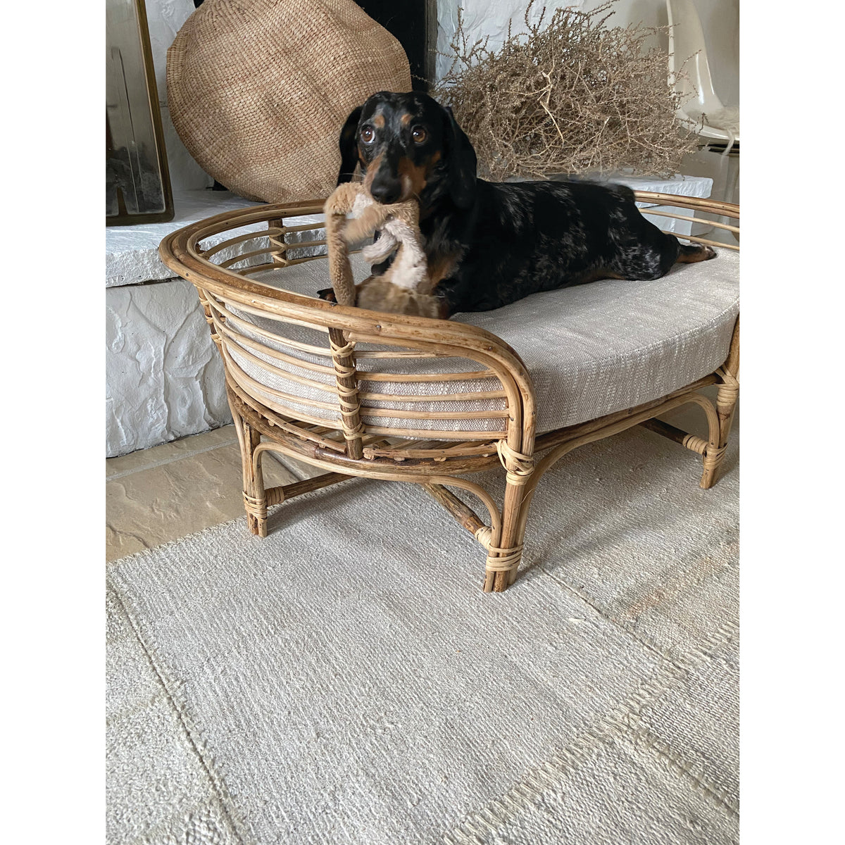 Rattan Dog Bed – Willoughby Interiors