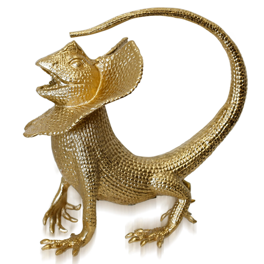 Lizard