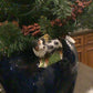 Australian Shepard Ornament