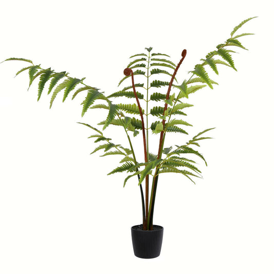 3' Potted Leather Fern