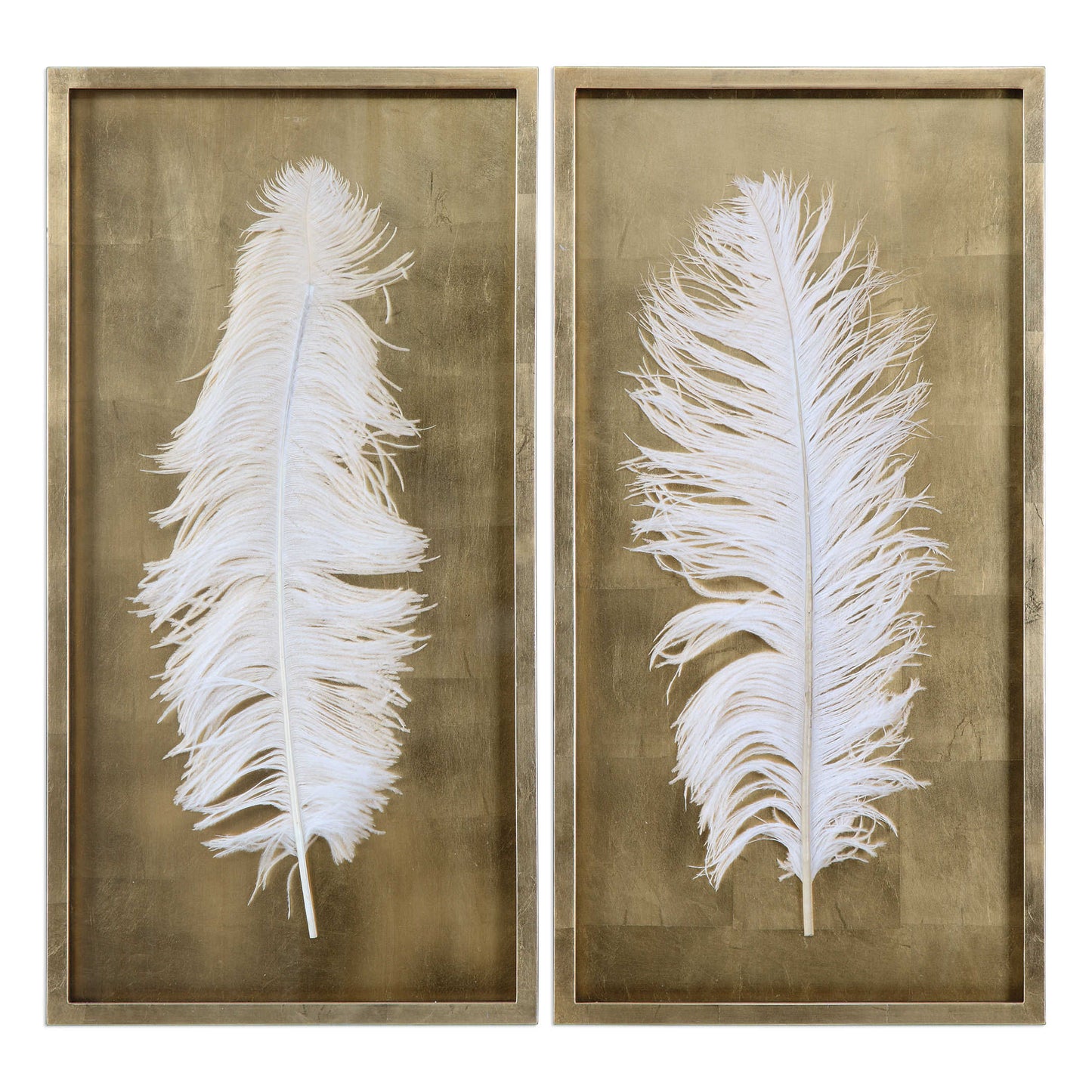 WHITE FEATHERS SHADOW BOXES, S/2