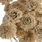 Cedar Rose Bleach