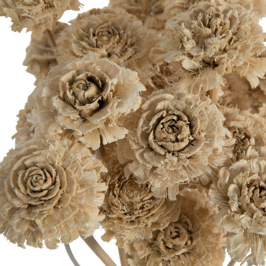 Cedar Rose Bleach